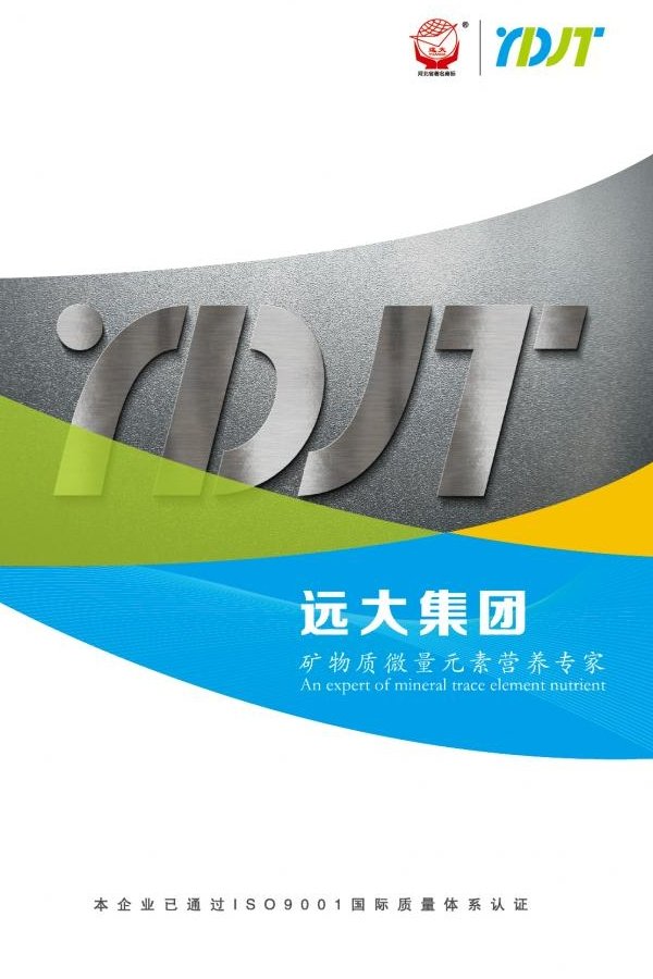 星空官方站网站登录入口